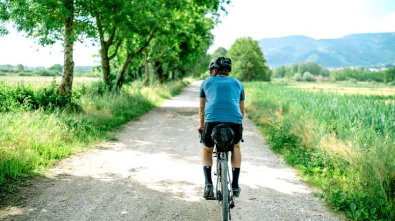 Alzheimer's store cycling jersey